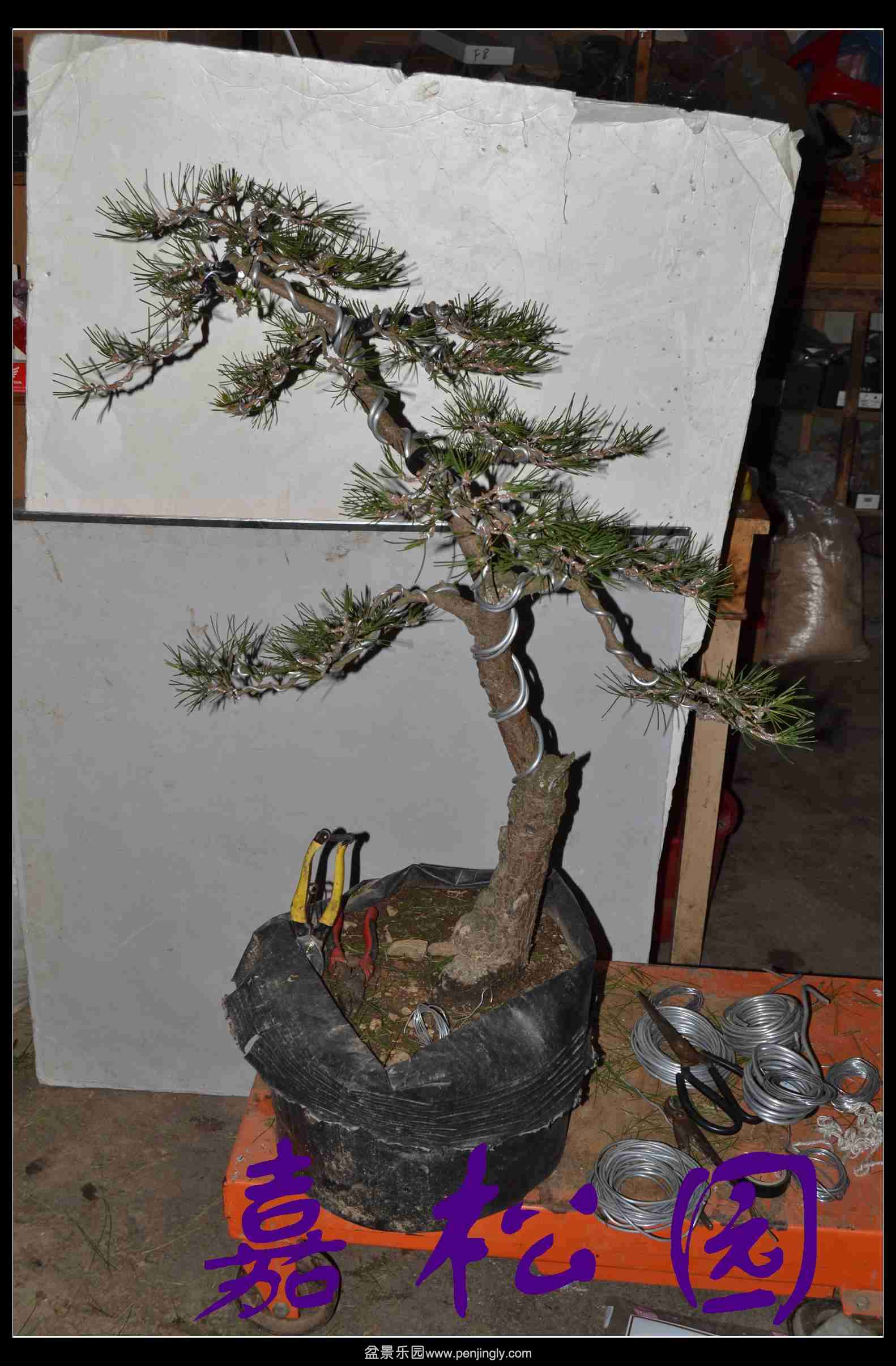 ����3�ú��� 009.JPG