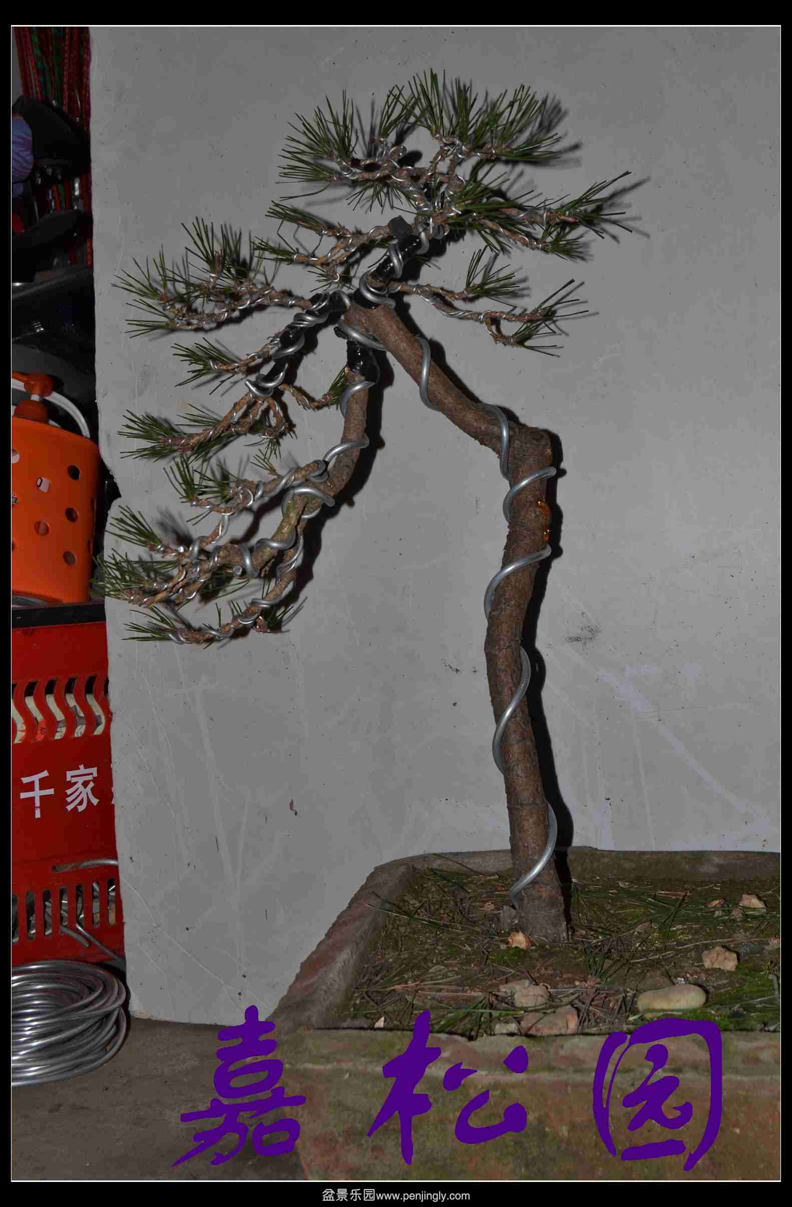 ����3�ú��� 013.JPG