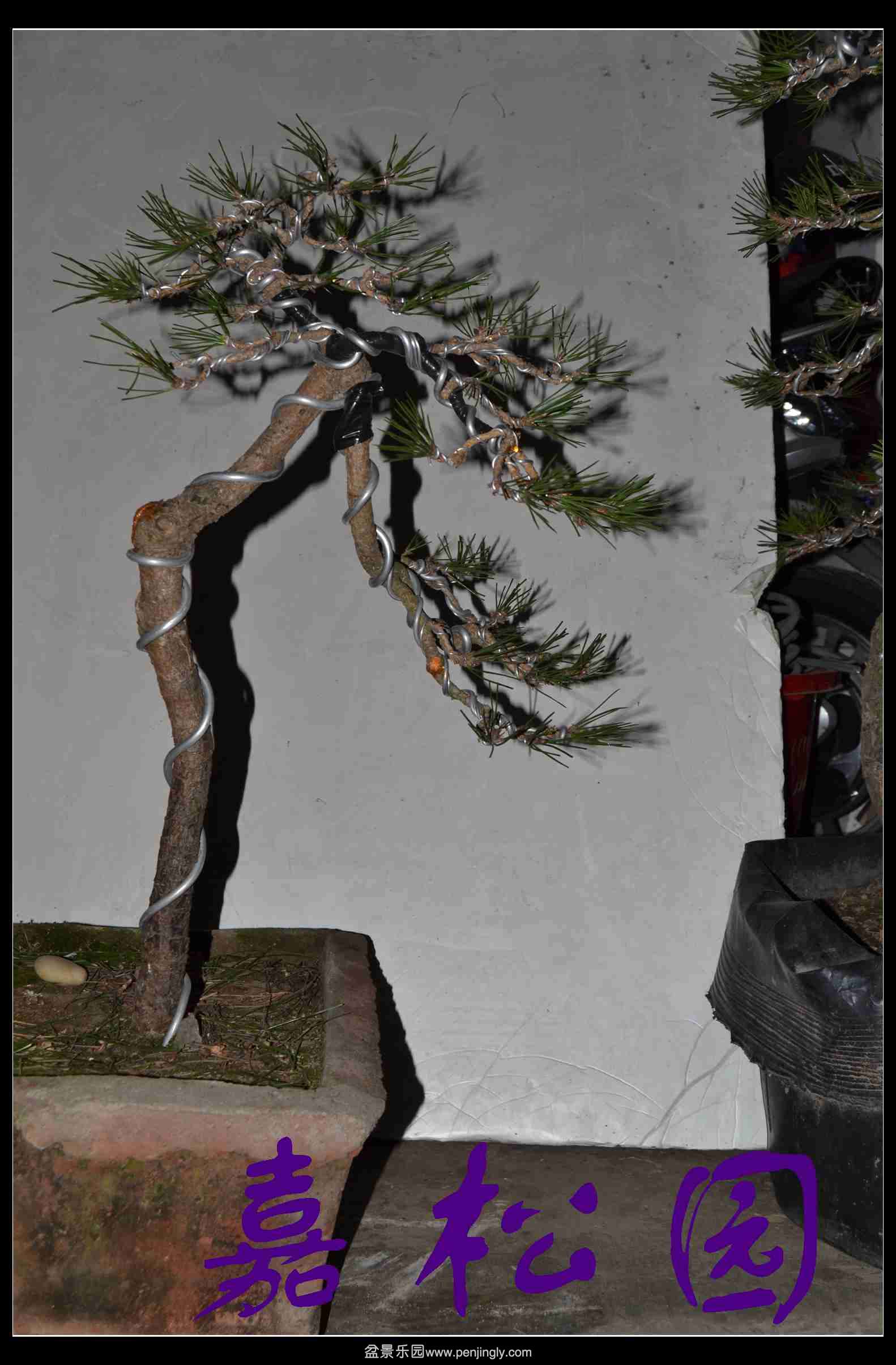 ����3�ú��� 015.JPG