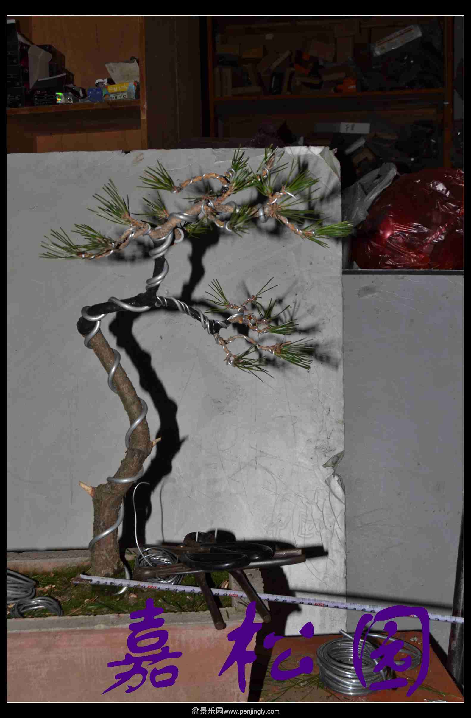 ����3�ú��� 016.JPG