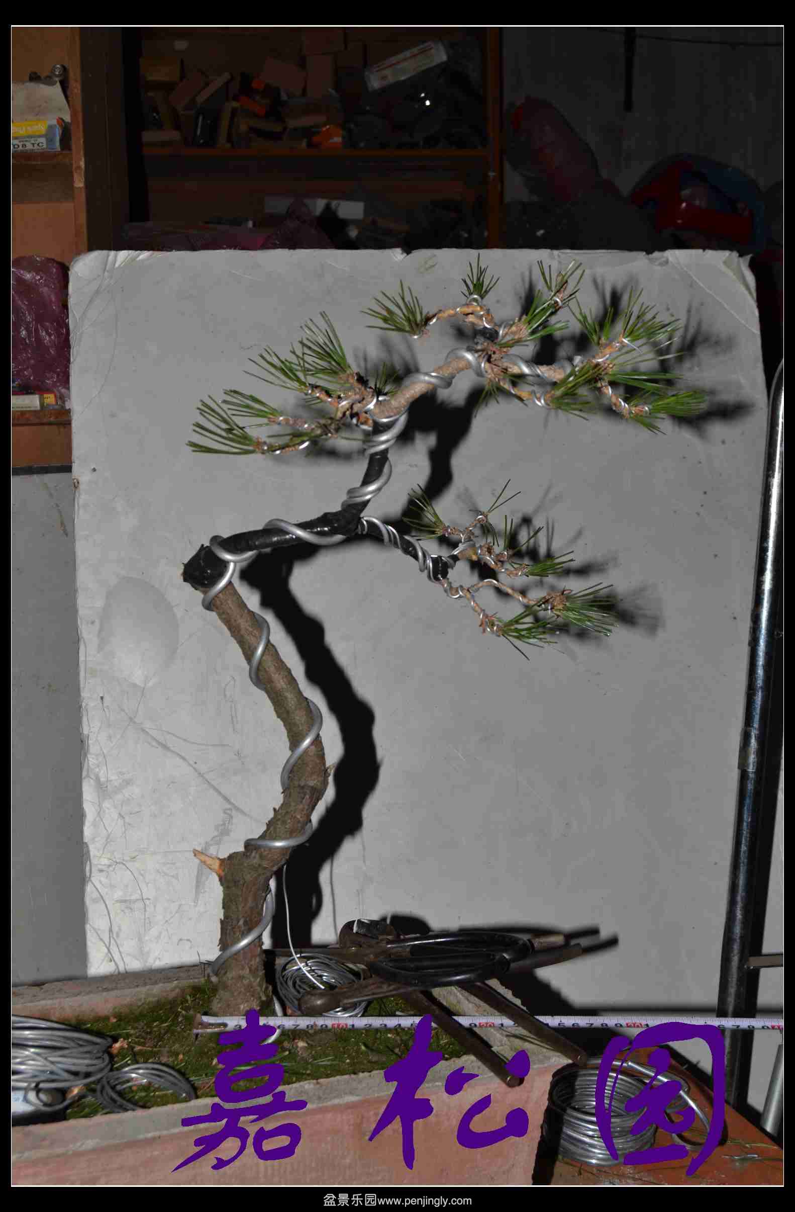 ����3�ú��� 017.JPG