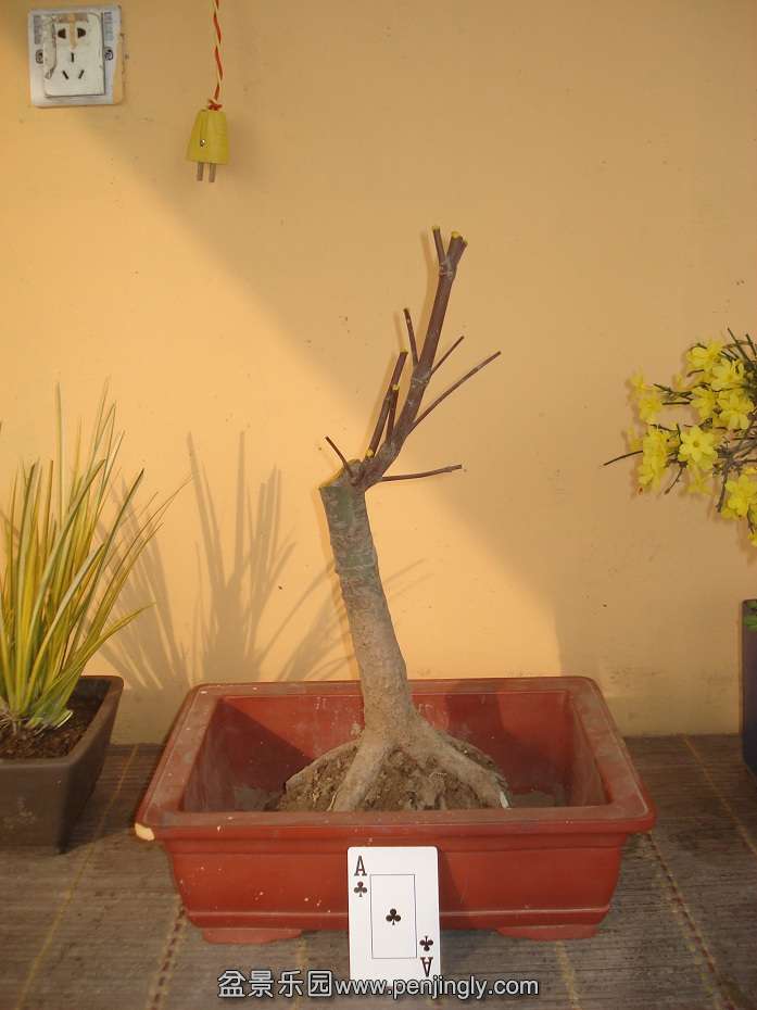 DSC01601.JPG