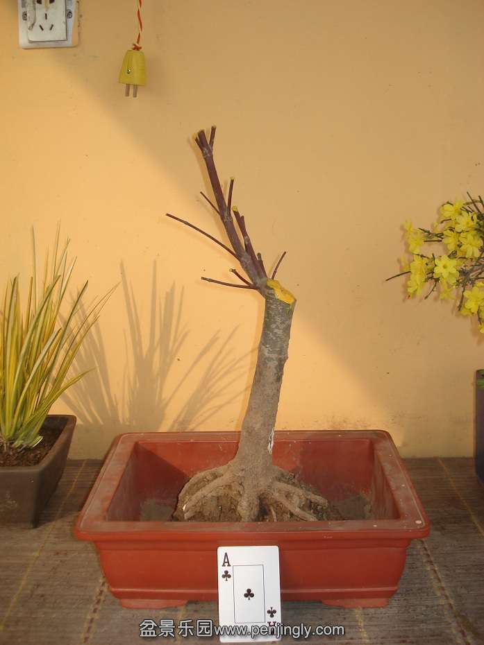 DSC01602.JPG