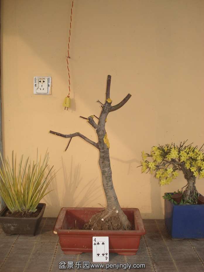 DSC01608.JPG