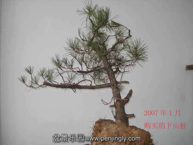 song ����.jpg