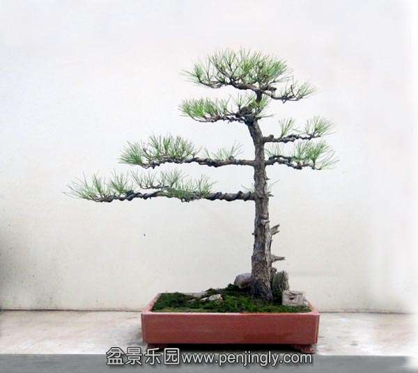 IMG_0579 ����ֱ��.jpg