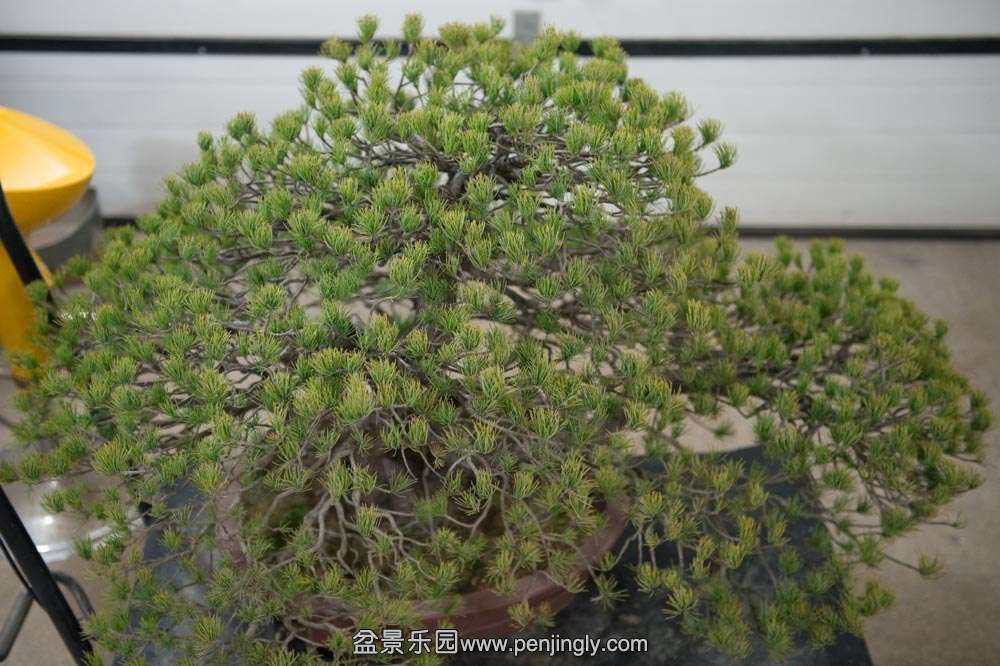 ��������ɸ���  (2).jpg