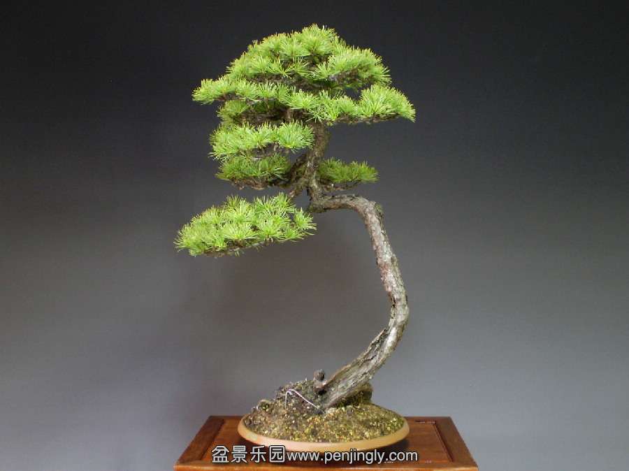 20111201_9d00db.jpg