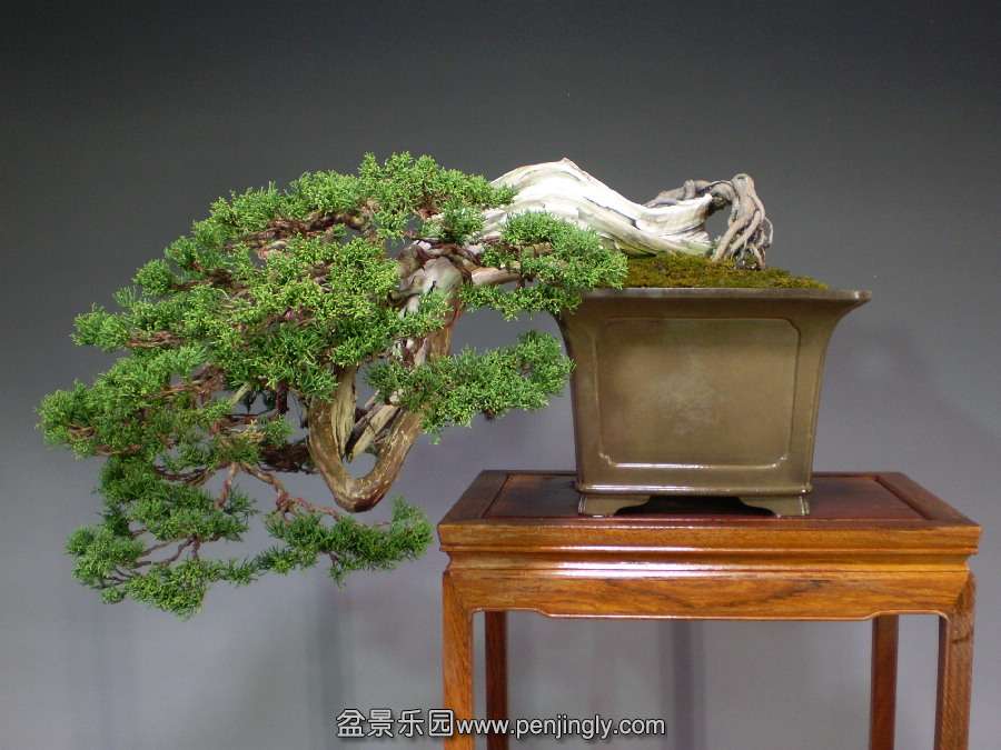 20120328_b9539d.jpg