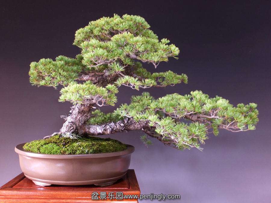 20121003_f9fddf.jpg
