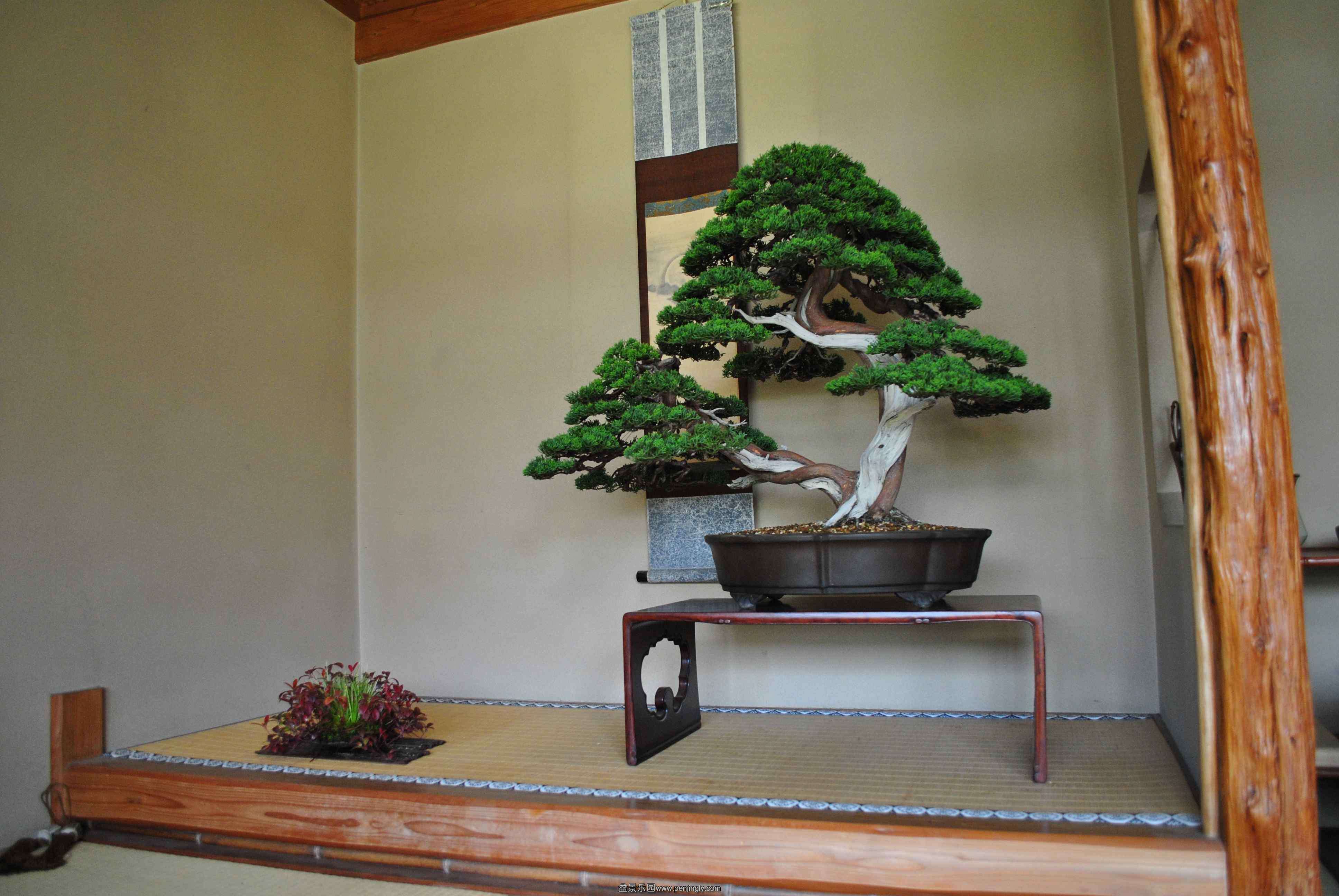 dsc_01222_conew1.jpg