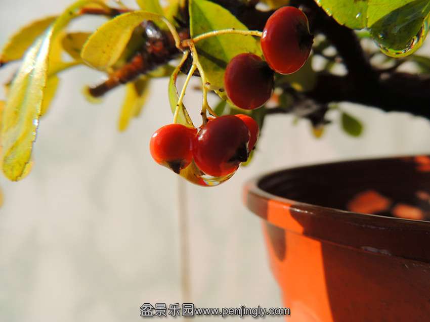 DSCN6086_.jpg