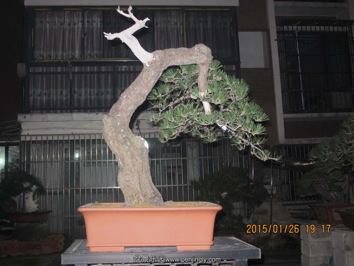 5.JPG
