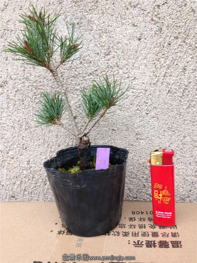 QQͼƬ20150126140129.jpg