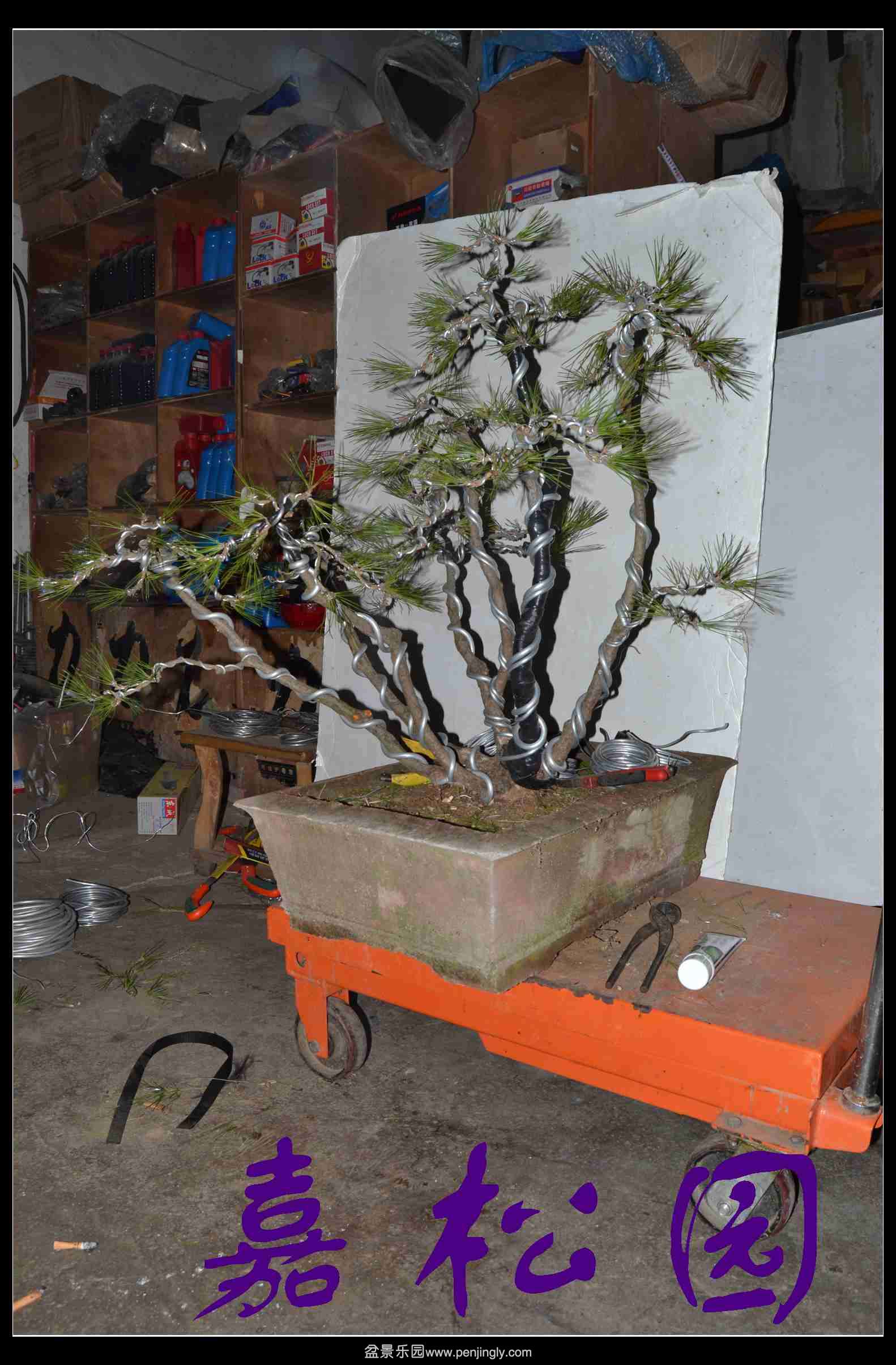 ��˺��� 002.JPG