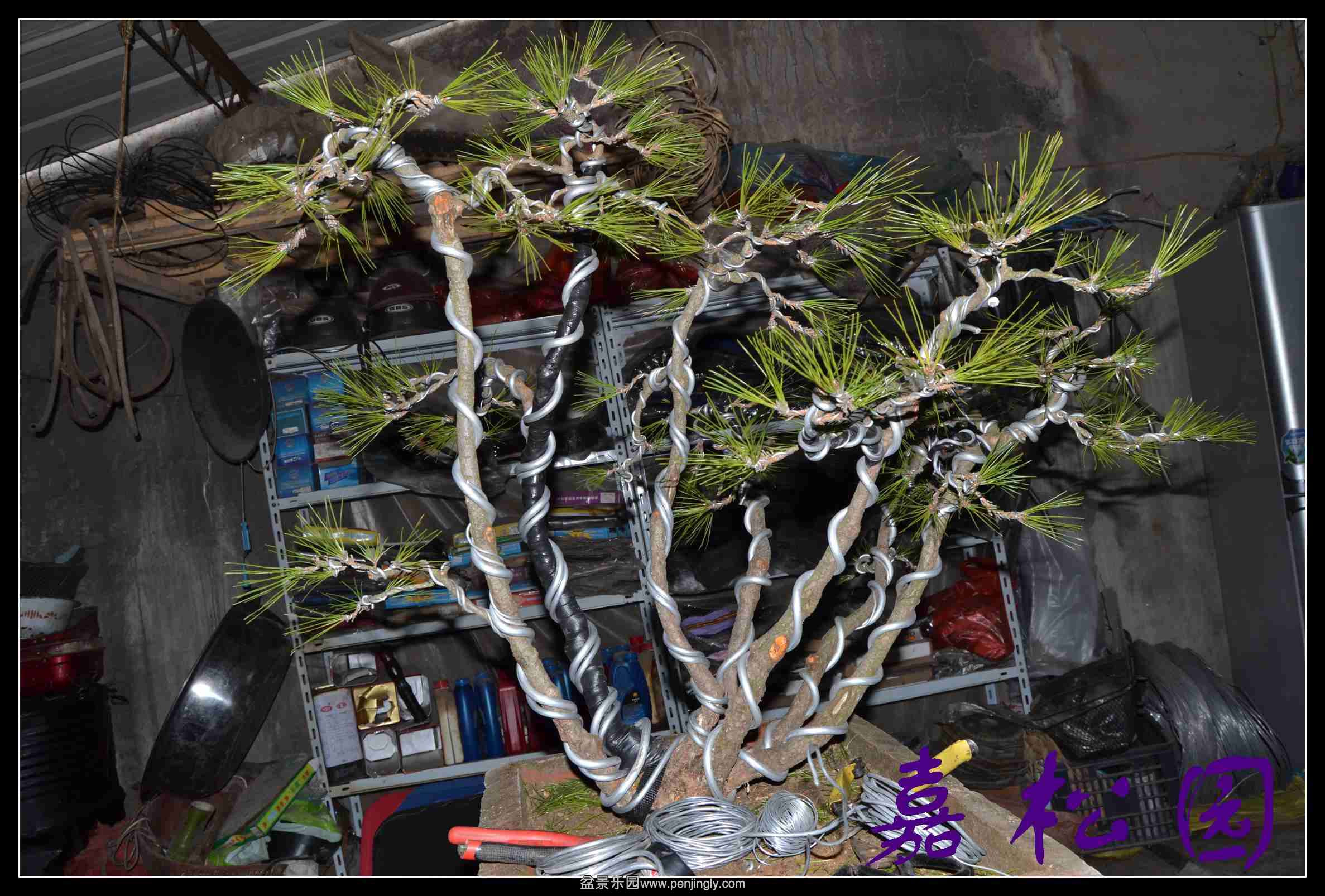 ��˺��� 005.JPG