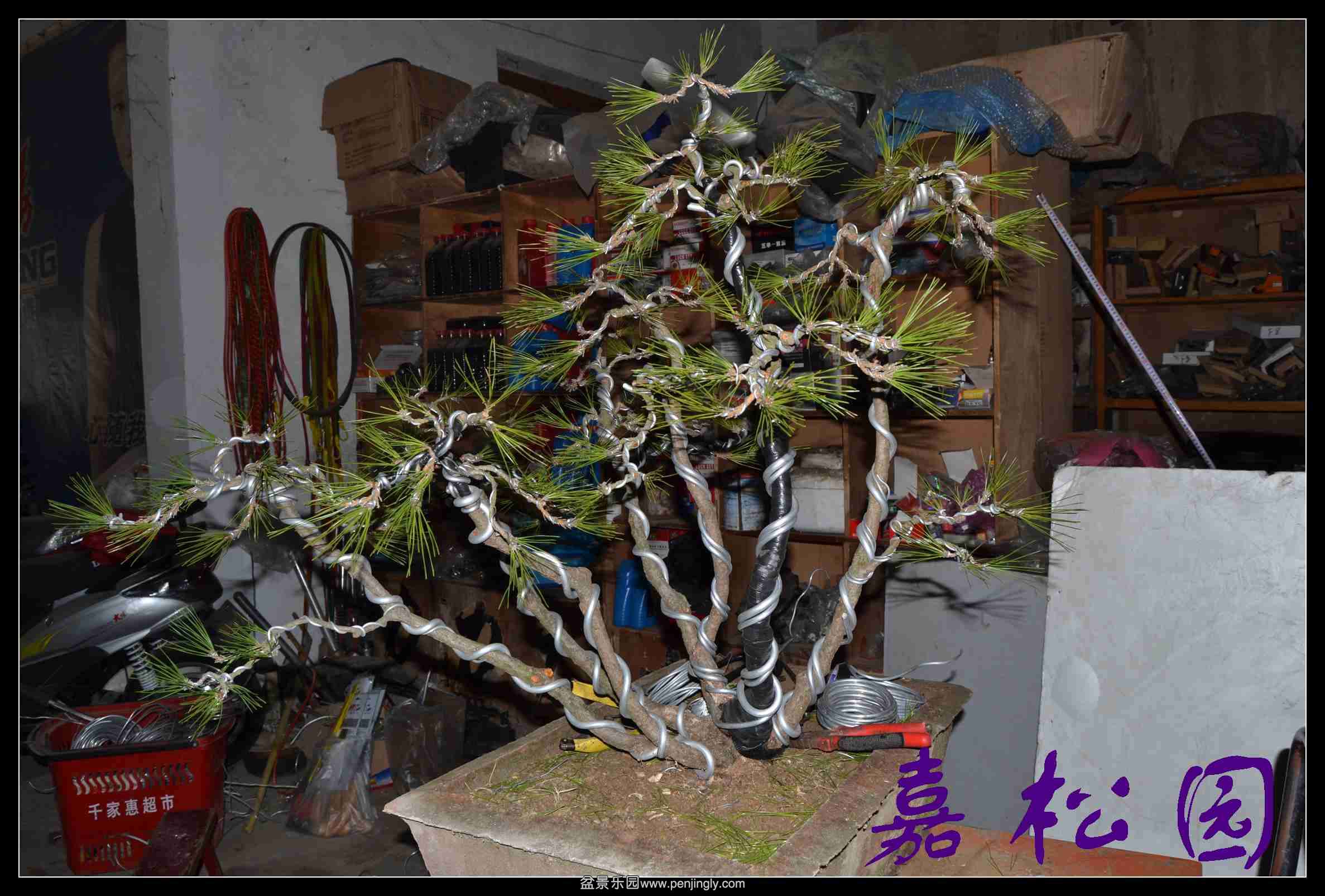 ��˺��� 008.JPG