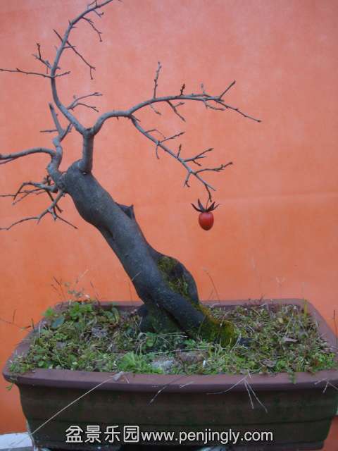 DSC06008.JPG