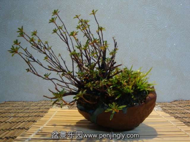 DSC00023.JPG
