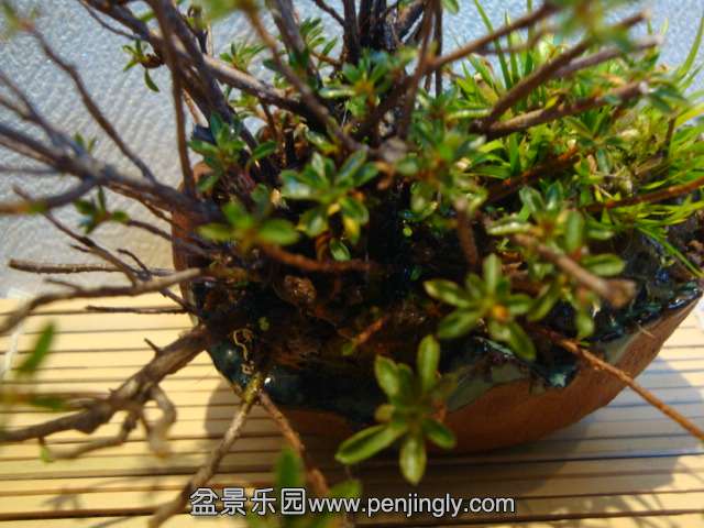 DSC00024.JPG
