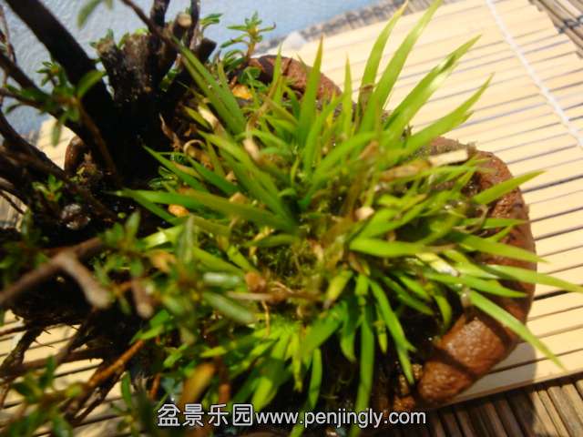 DSC00025.JPG