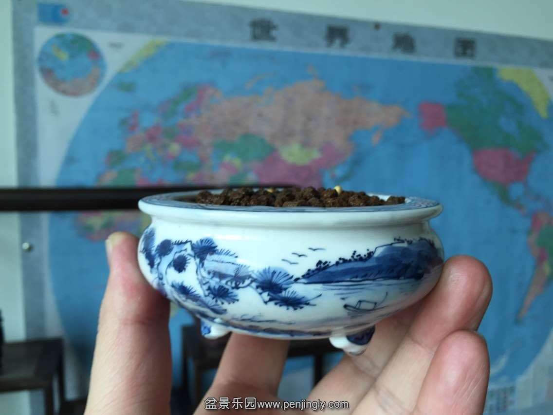 QQͼƬ20150130130720.jpg
