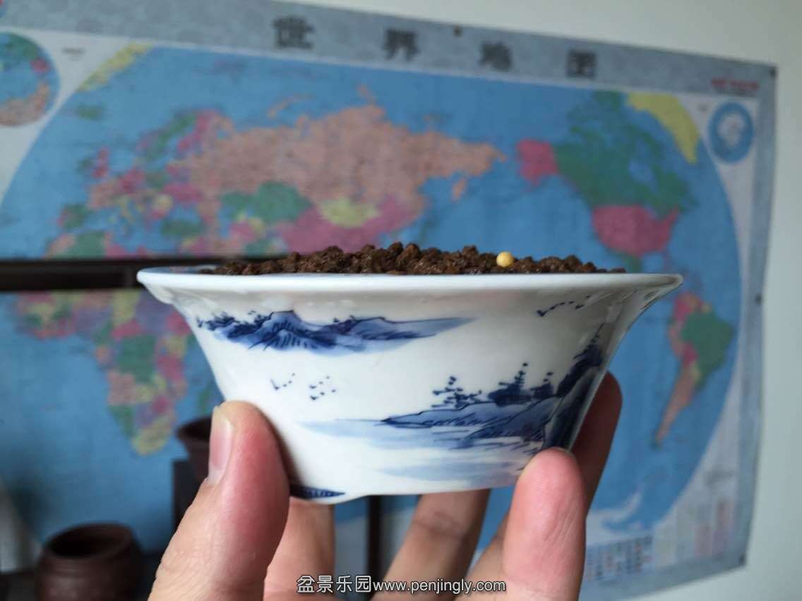QQͼƬ20150130130727.jpg