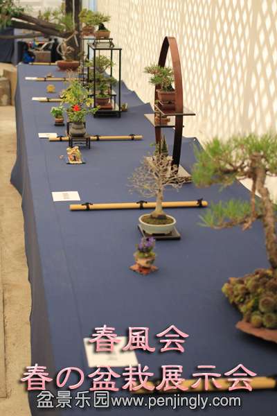 o0400060012481816513.jpg