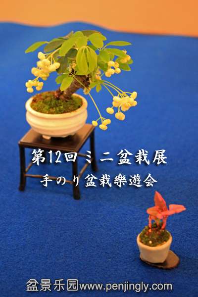o0400060012499355221.jpg