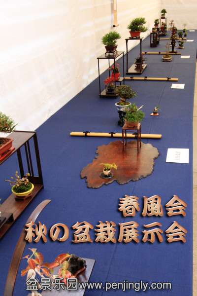 o0400060012774816720.jpg