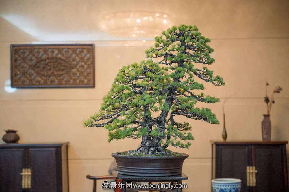 DSC_5605.jpg