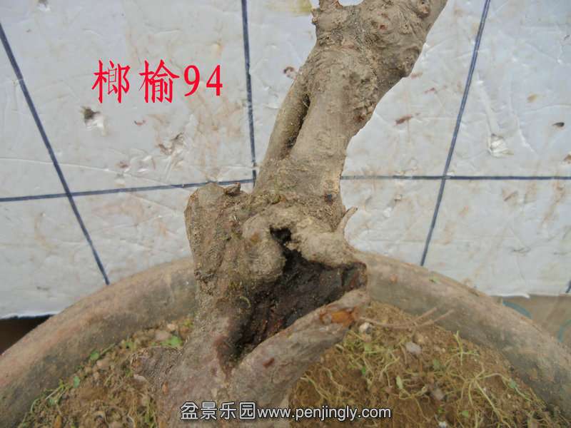 CIMG4332.JPG