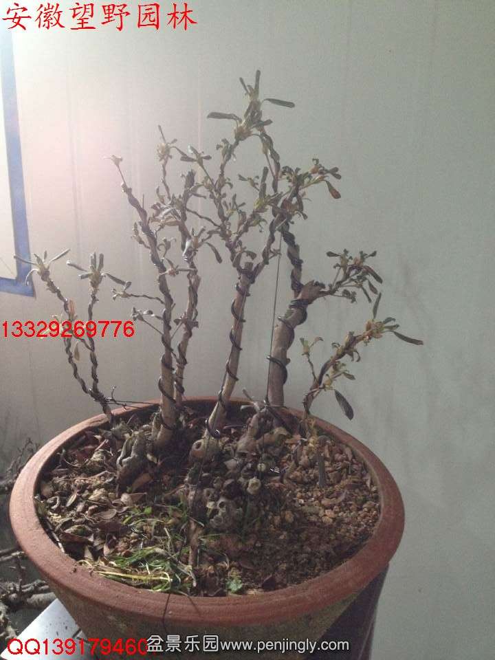 33D1B3525EA059281408779DD7D12E68.jpg