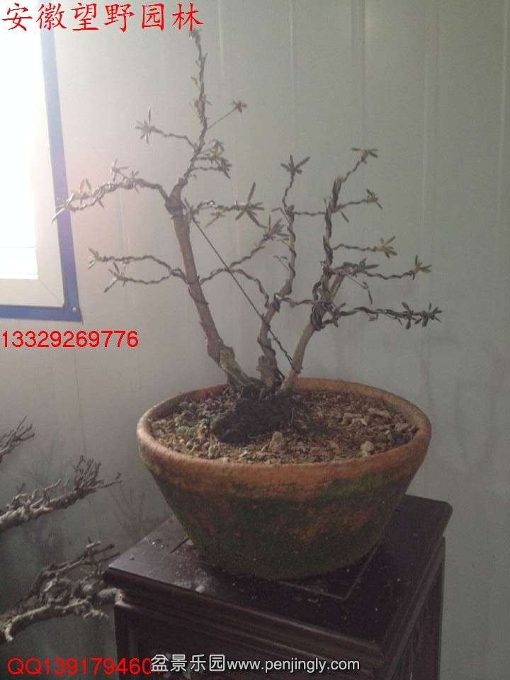 8034E002916BE4425D92DC686DCC6672.jpg