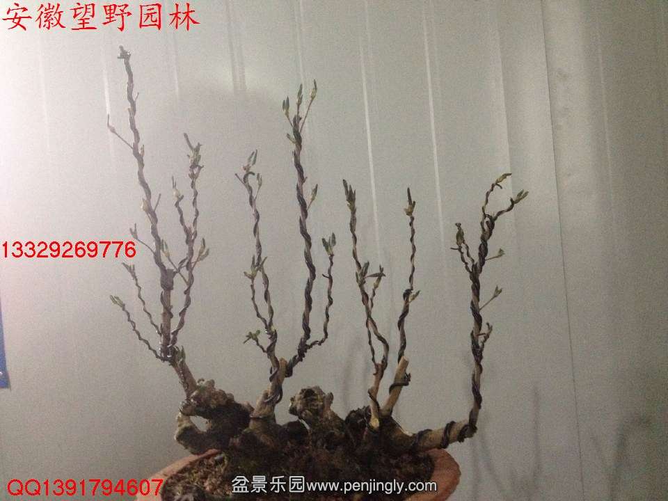 B994ABD3C187B6B726F99EECBC53AF3F.jpg
