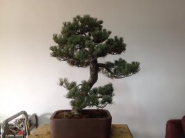 psb (66).jpg