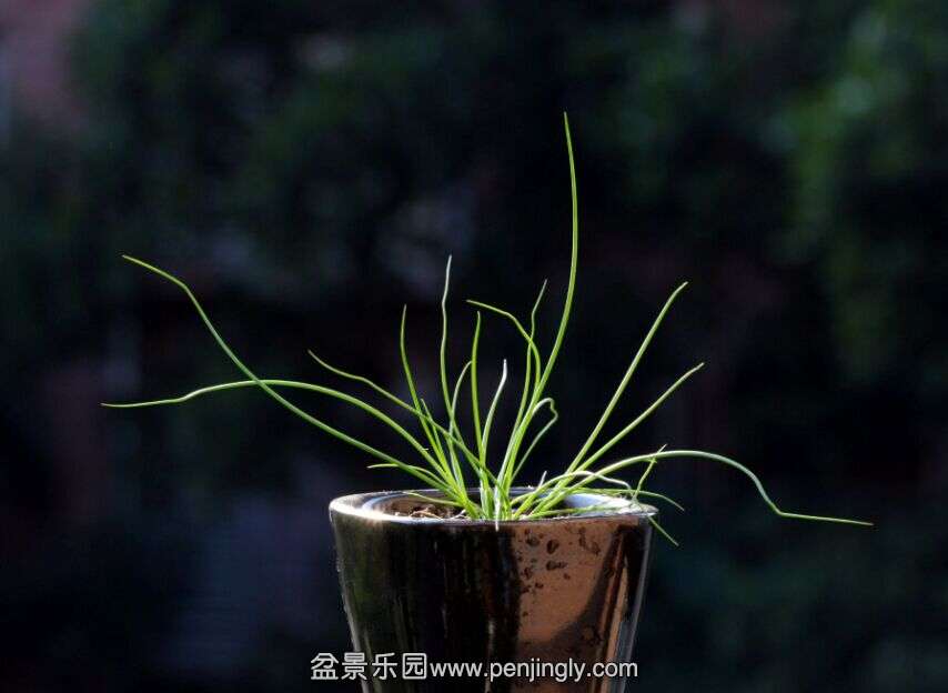 QQͼƬ20150202230228.jpg