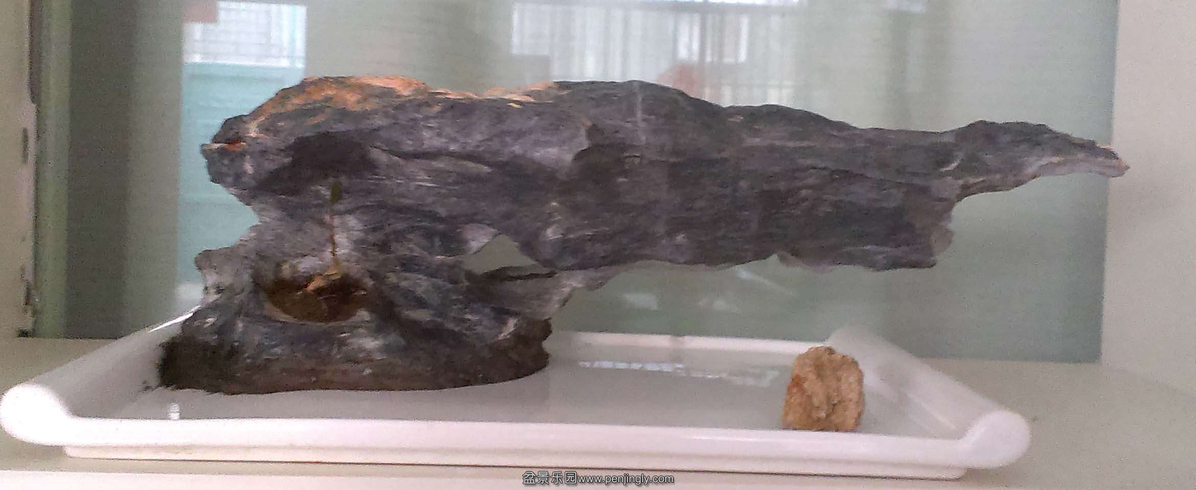 IMAG0529.jpg