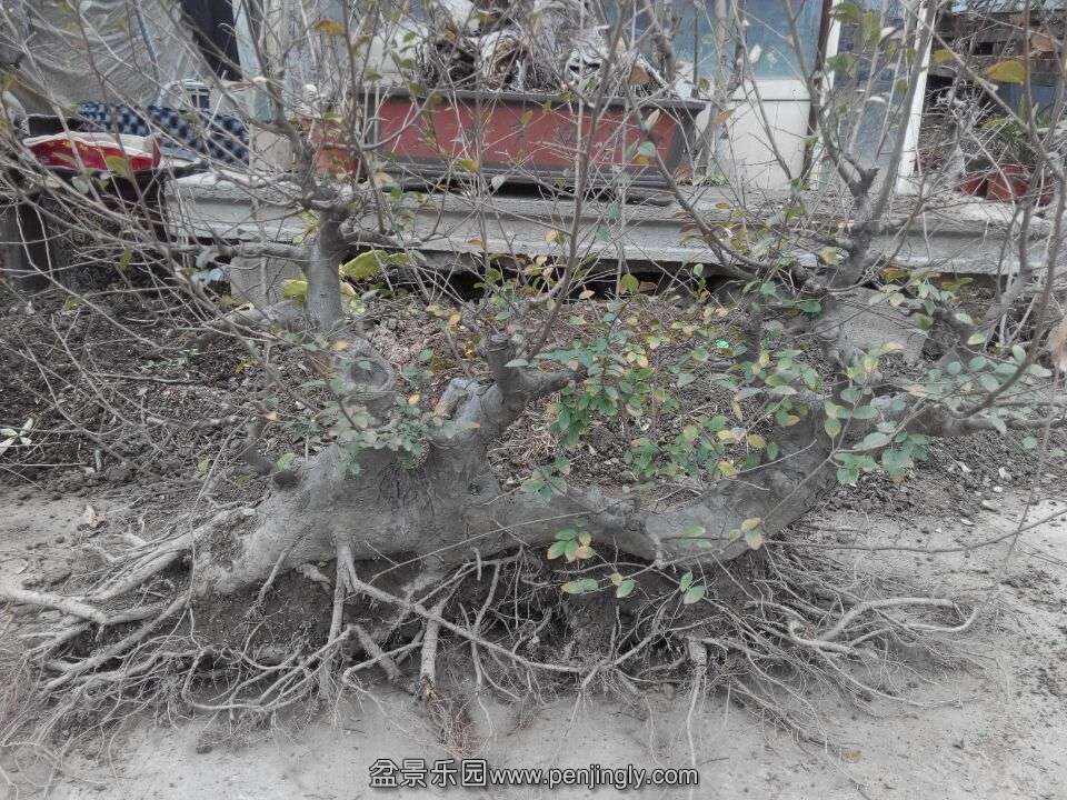 QQͼƬ20150203154554.jpg