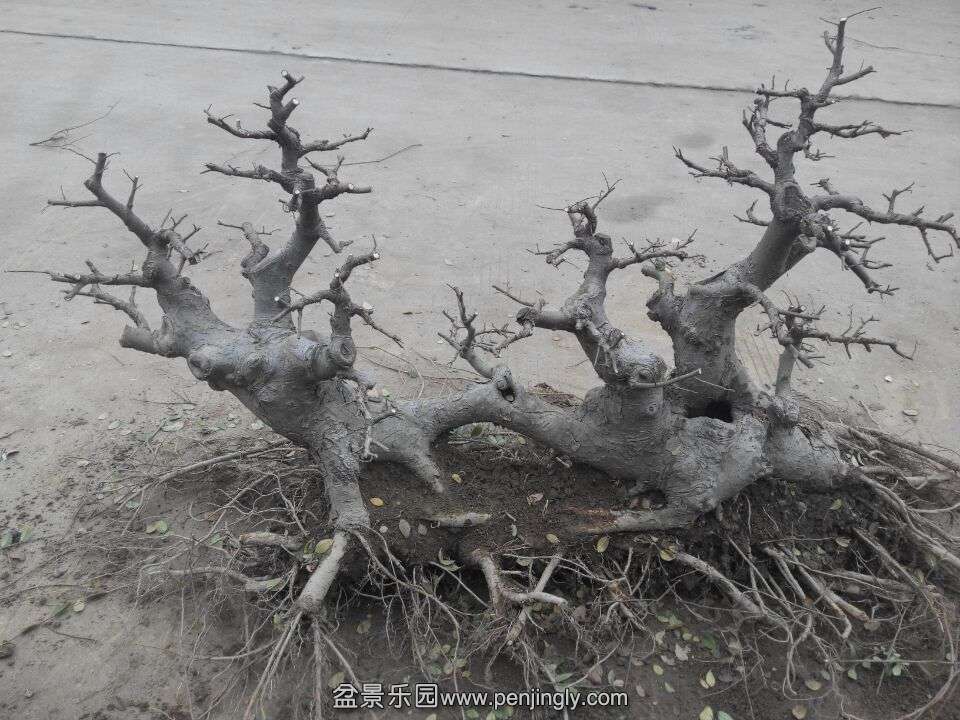 QQͼƬ20150203154616.jpg