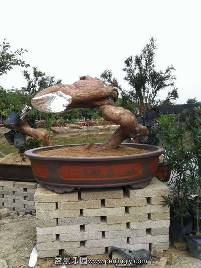 A12FD5245DA08CBB0E4DB98892B9D133.jpg