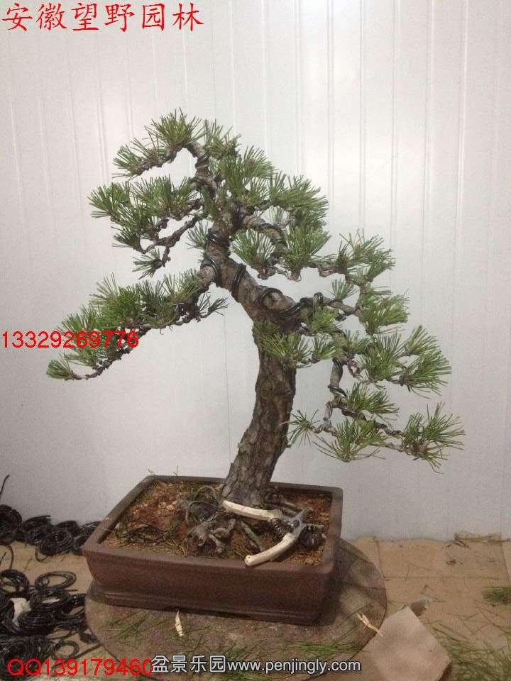 FD58E3191848A727E250659BEE3C44EC.jpg