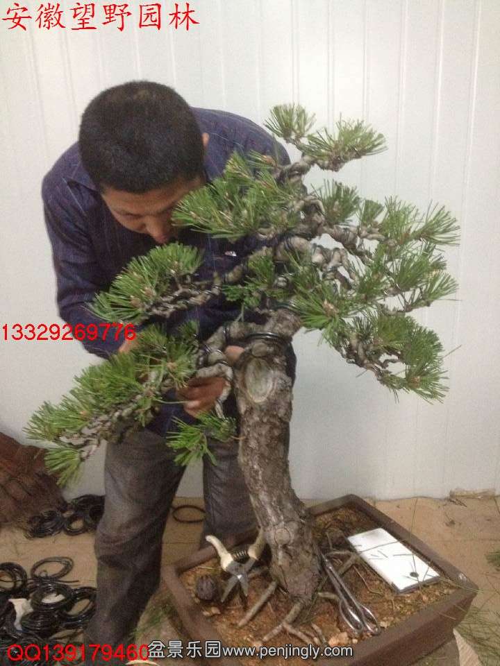 C9FAD30578B58F8F8D3B06A5B29E9598.jpg