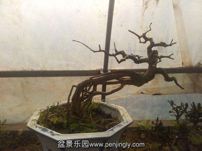 20141228_121413.jpg