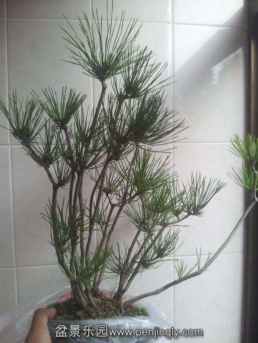 20141126_133136.jpg