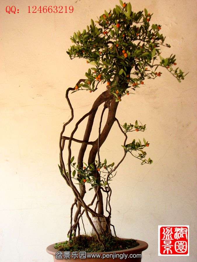 IMG_1065__.jpg