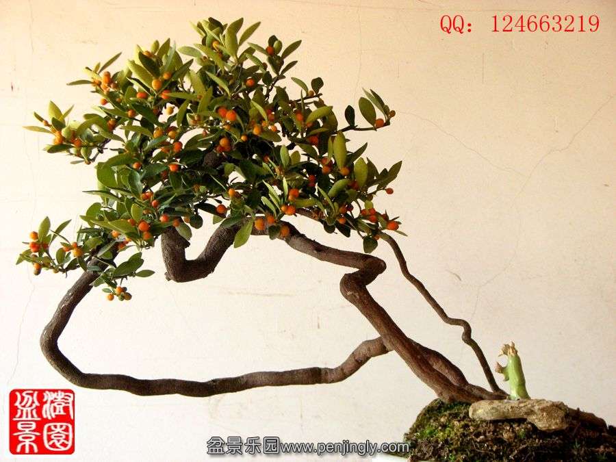 IMG_1077__.jpg