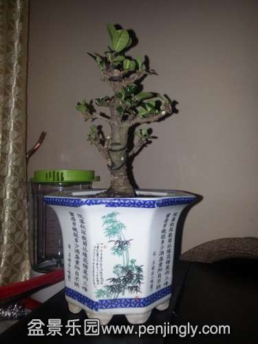 20150210_213331.jpg