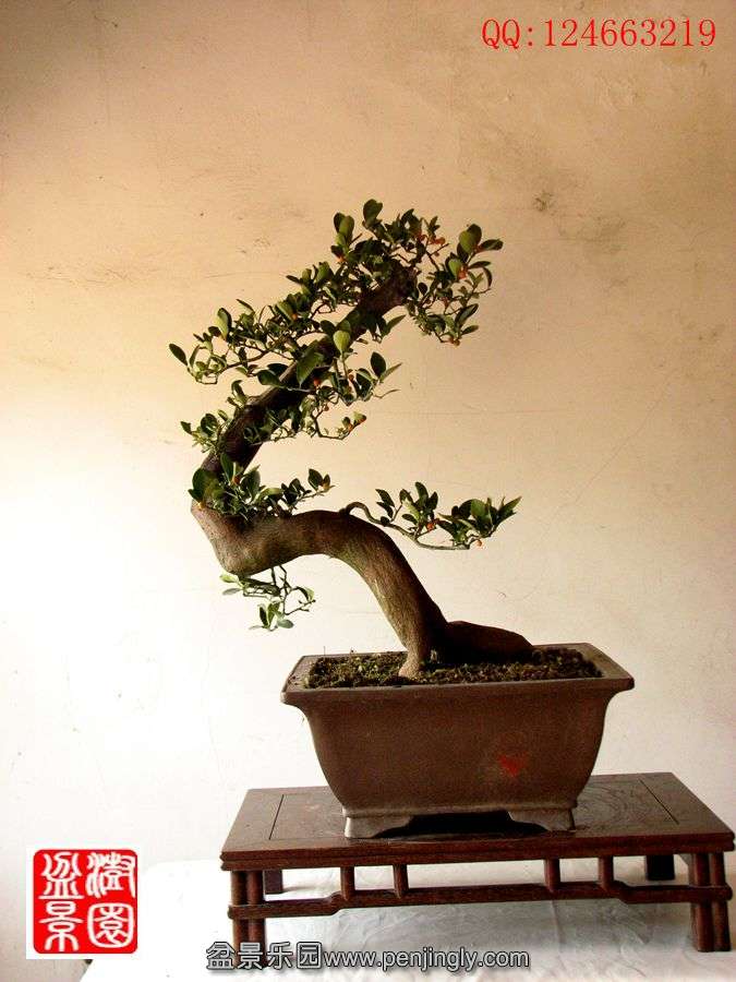 IMG_1090__.jpg