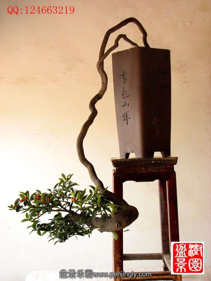 IMG_1094__.jpg